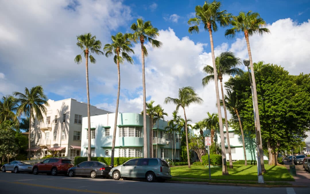 Tree Service Trends & Innovations for 2026: What’s Next for Miami?