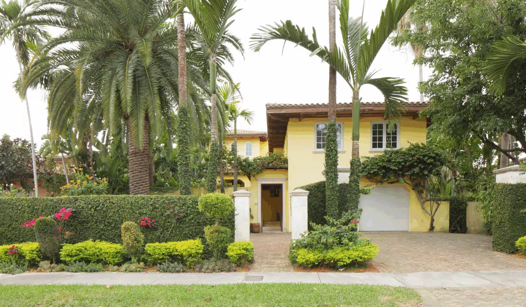 How to Prepare for Tree Removal in Miami