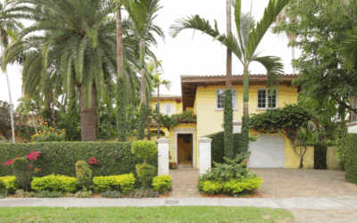 How to Prepare for Tree Removal in Miami