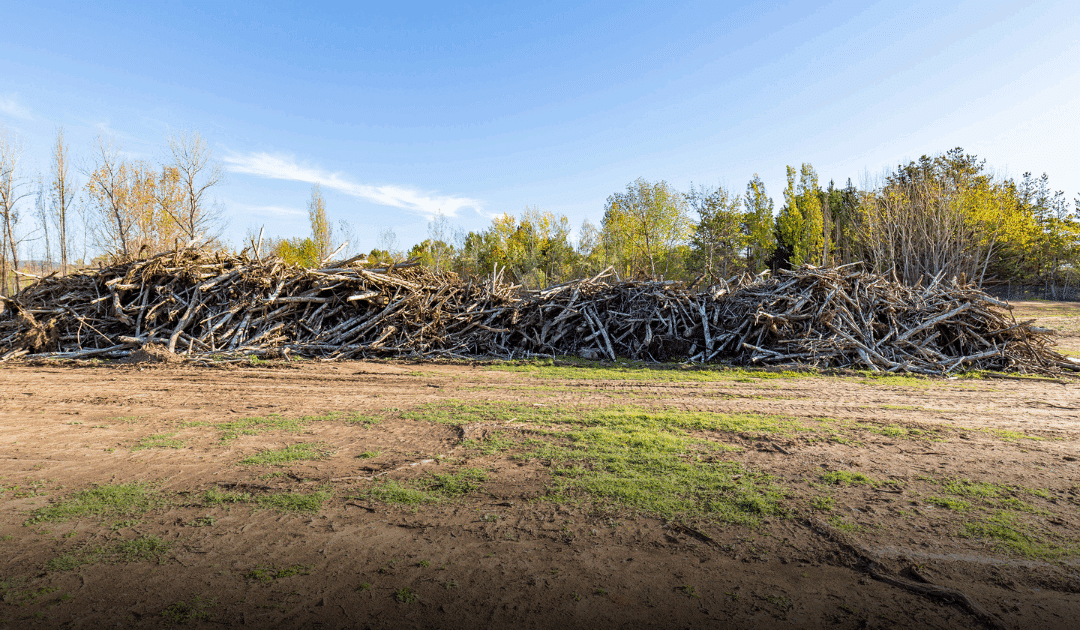 Land Clearing Services in Miami: What to Know Before You Build