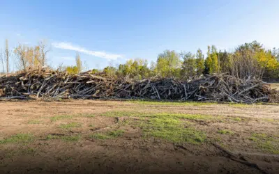 Land Clearing Services in Miami: What to Know Before You Build