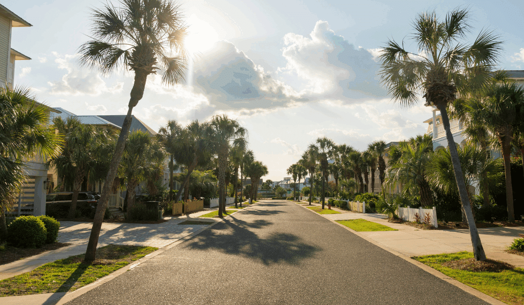 Understanding Tree Service Insurance: Protecting Your Property