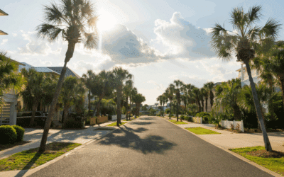 Understanding Tree Service Insurance: Protecting Your Property