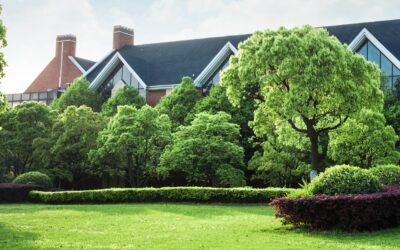 Tree Service Payment Plans & Financing in Miami: What to Know